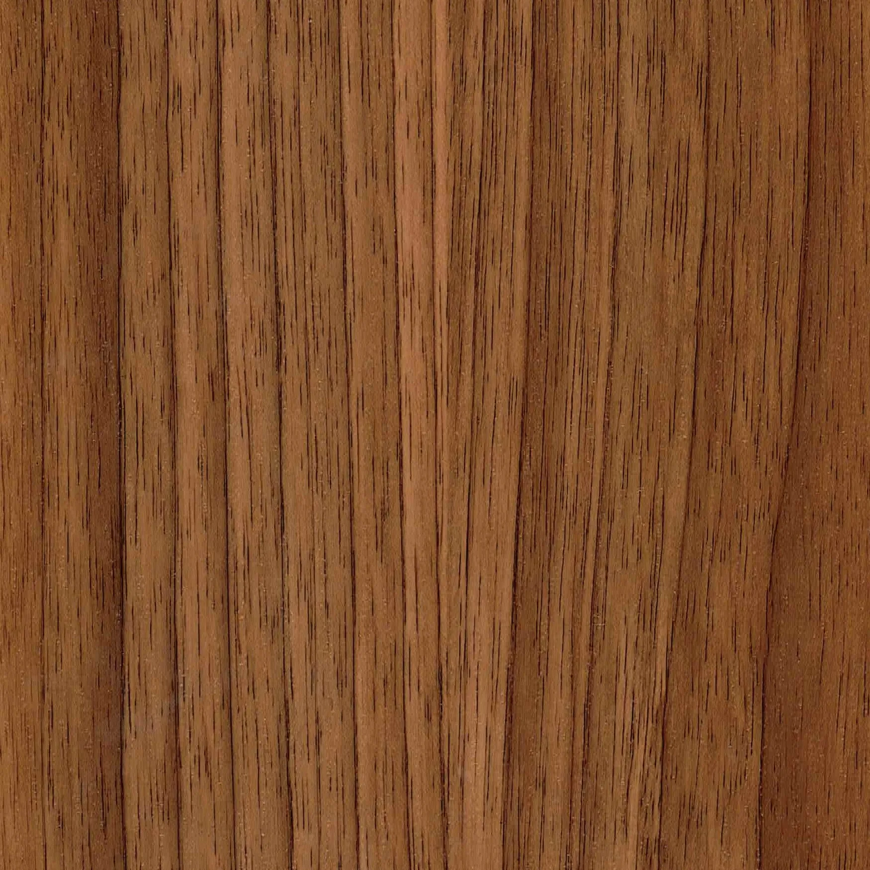 WF13708